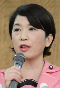 福島瑞穂社民党首の経歴と公約 政策まとめ 反日思想 評判は 選挙プレス